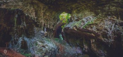 cuevas de candelaria haniel lopez