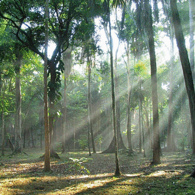 guatemala pais de la eterna primavera