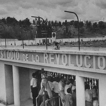 historia del mateo flores