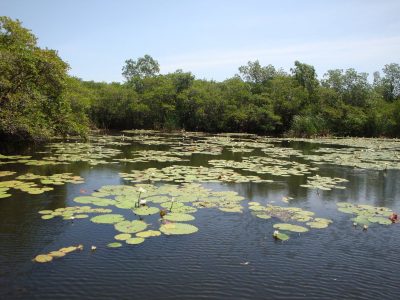 reserva natural de monterrico