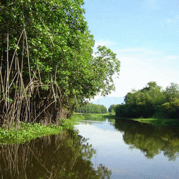reserva natural monterrico