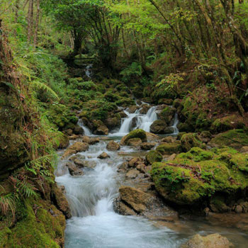 rio grutas del rey marcos