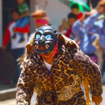 historia de la danza del venado