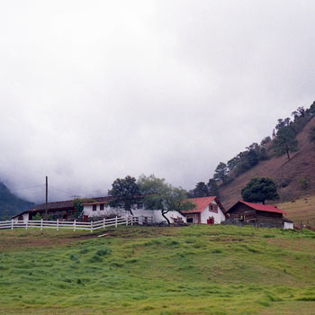 acul nebaj