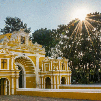 antigua guatemala arbol hermano pedro