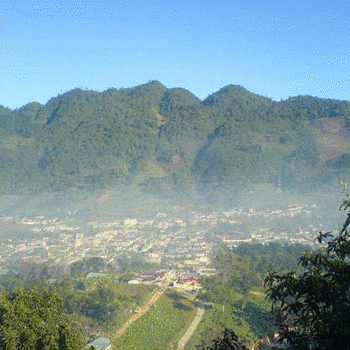 chical alta verapaz