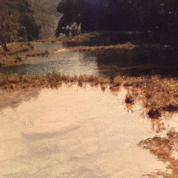 como era semuc champey