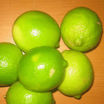helados limon pepita