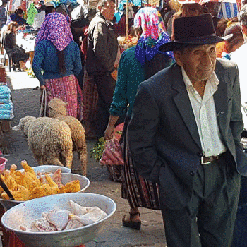 mercado el alto