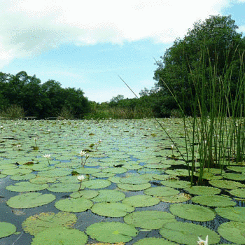 parque rio dulce