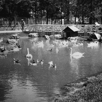 zoologico la aurora
