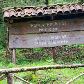 astillero san marcos