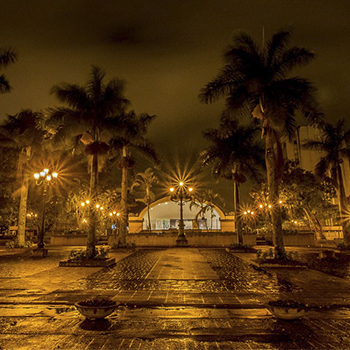 concha artística actual