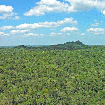 la danta el mirador
