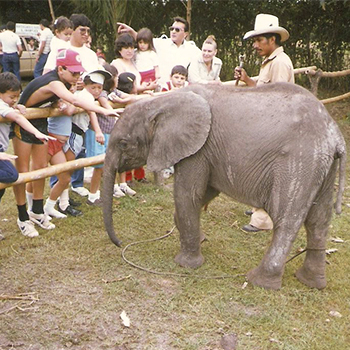 Auto Safari Chapín, Escuintla