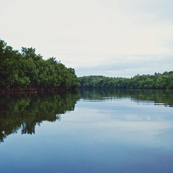 Parque Nacional Sipacate-Naranjo, Escuintla