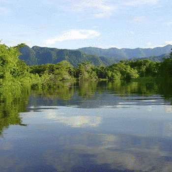 Parque Natural Bocas del Polochic, Izabal