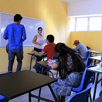 Requisitos para usar CALUSAC en línea