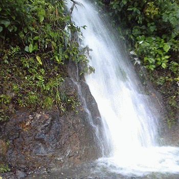 Municipio de Senahú, Alta Verapaz