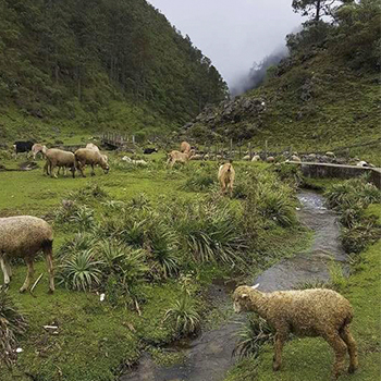 La sierra de los Cuchumatanes en Guatemala