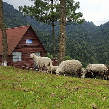 Parque Ecológico Pino Dulce, Jalapa