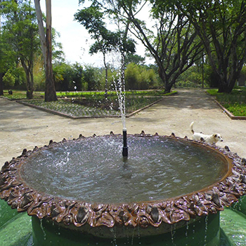 Parque Minerva en la ciudad de Guatemala