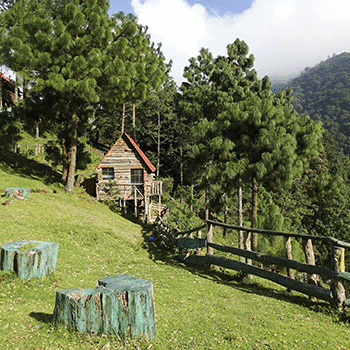 Parque Ecológico Pino Dulce, Jalapa