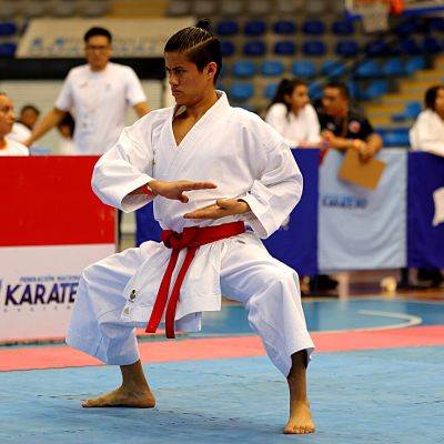 federarse en karate