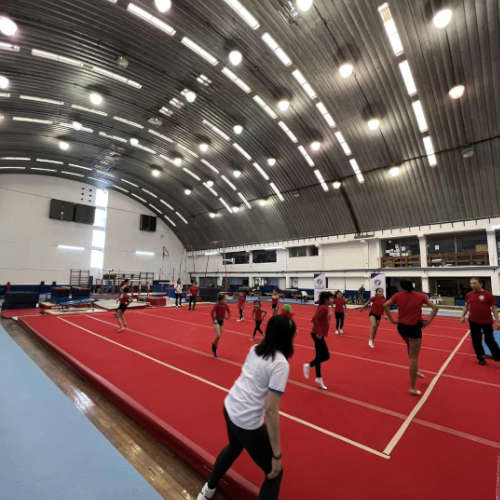 federarse gimnasia guatemala