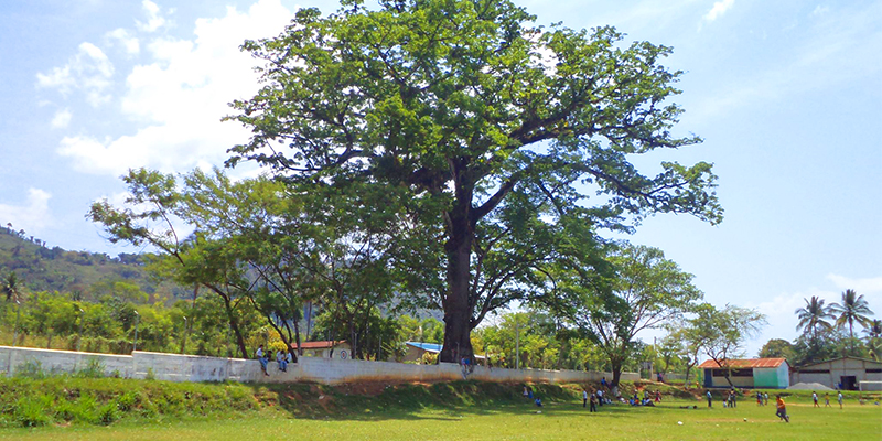 Municipio de Santa Catalina La Tinta, Alta Verapaz Municipio de Santa Catalina La Tinta, Alta Verapaz