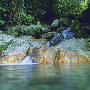 Sierra de las Minas, Guatemala