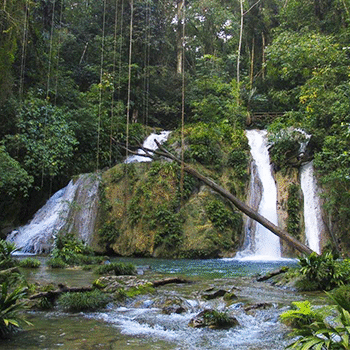Reserva protectora de manantiales Cerro San Gil, Izabal