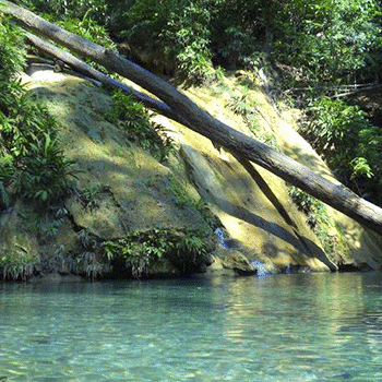 Reserva protectora de manantiales Cerro San Gil, Izabal