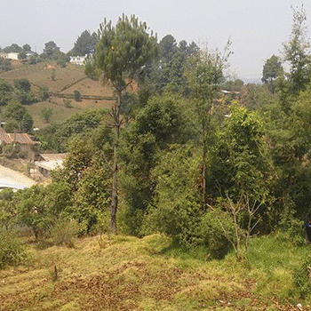 Municipio de Chichicastenango, El Quiché