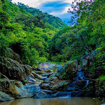 Municipio de Santa Cruz Verapaz, Alta Verapaz