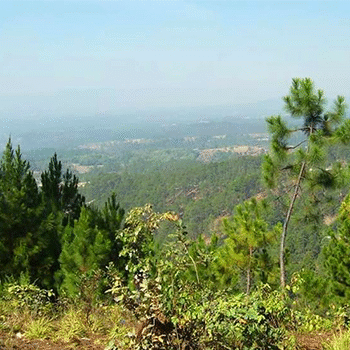 Municipio de Chinique, El Quiché