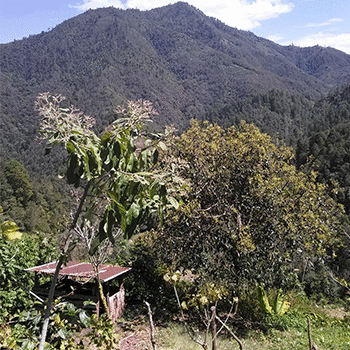 Municipio de San Juan Ixcoy, Huehuetenango