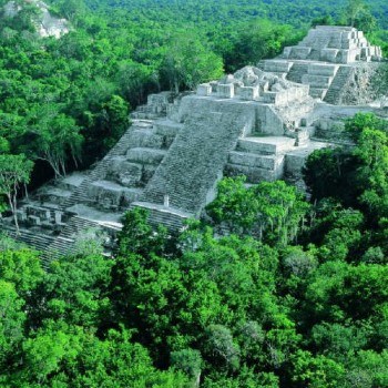 origen-nombre-guatemala-arboles-etimologia-significado-danta