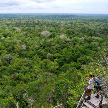 origen-nombre-guatemala-bosques-arboles