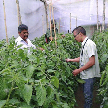 Día del Perito Agrónomo en Guatemala