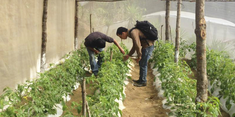Día del Perito Agrónomo en Guatemala