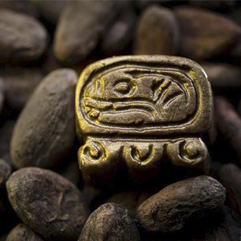 El cacao era la moneda de los mayas en Guatemala