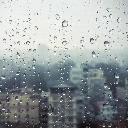 La curiosa forma de predecir el clima