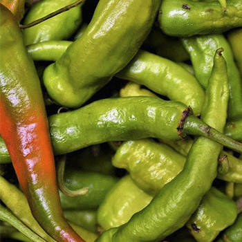 Los tipos de chile que existen en Guatemala