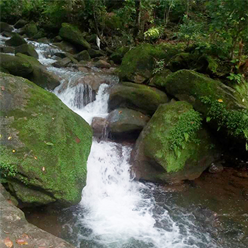 Municipio de Santa Ana Huista, Huehuetenango