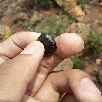 Origen de la palabra Chaye en Guatemala