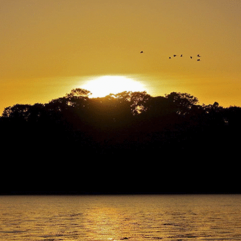 Refugio de vida silvestre Petexbatún, Petén
