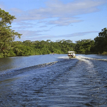 Refugio de vida silvestre Petexbatún, Petén