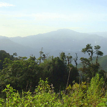 Reserva Biósfera Visis Cabá en Quiché