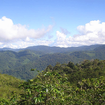 Reserva Biósfera Visis Cabá en Quiché